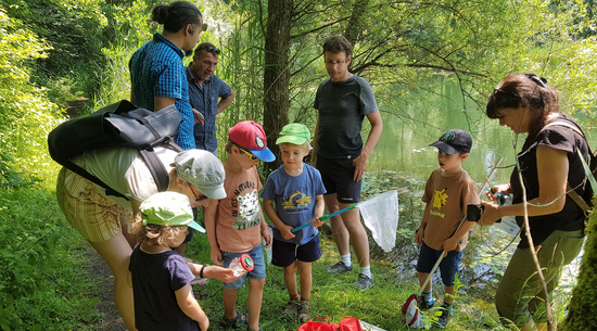 Das Bild zeigt einige Erwachsene und Kinder, die beim Familiennachmittag an einem See stehen und mit kleinen Fangnetzen Kaulquappen fangen, um sie zu untersuchen. 