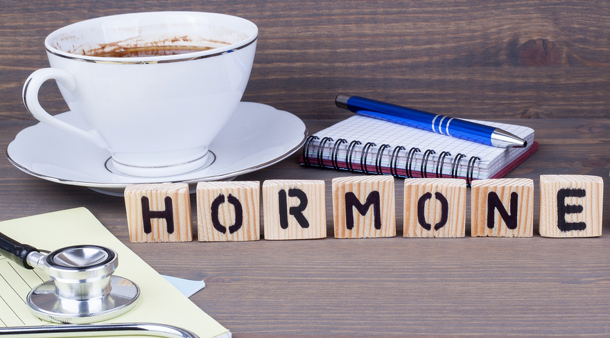 Das Bild zeigt einen Holztisch, auf dem ein Block, ein Stethoskop, eine Tasse Kaffee steht. Davor ist auf kleinen Holzblöckchen die Schrift "Hormone" zu lesen.