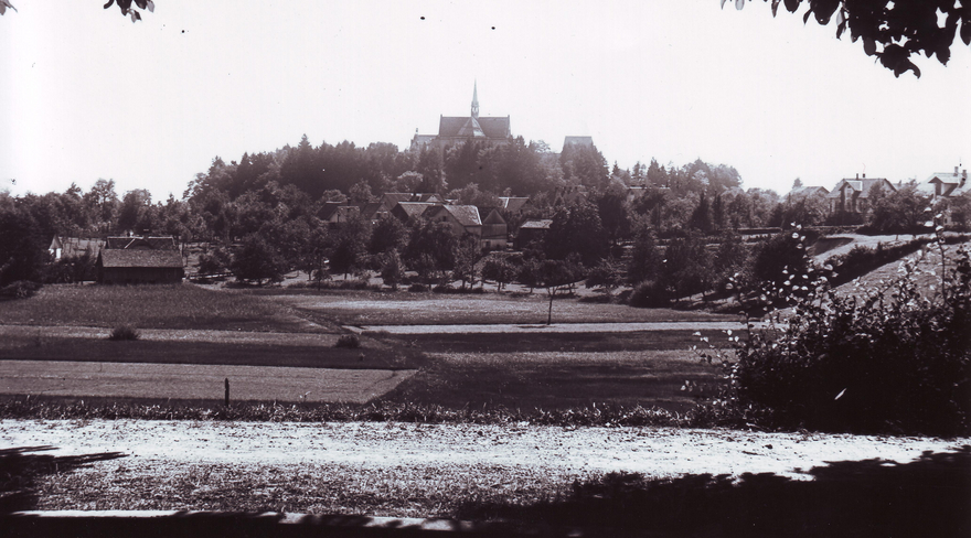 Diese Abbildung zeigt den Stadtteil Rieden in Bregenz im Jahre 1916.