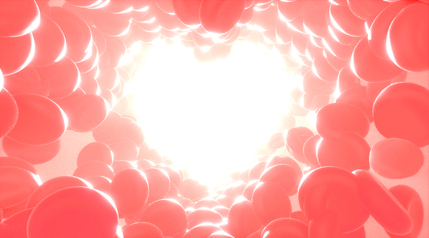 Diese Abbildung zeigt rote Blutkörperchen, mit welchen ein Herz geformt wurde.