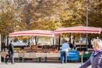 Bregenzer Wochenmarkt